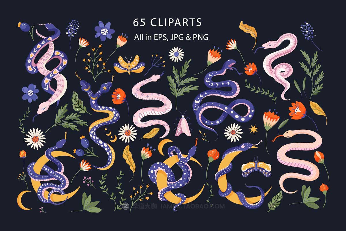80+张神秘魔法眼镜蛇花卉手绘插画AI矢量设计素材 Snake Illustration & pattern bundle插图2
