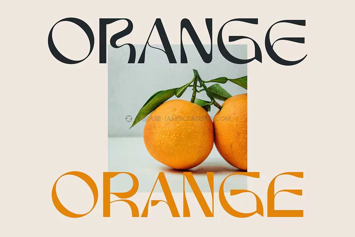 时尚优雅酸性逆反差杂志画册海报标题排版logo设计英文字体素材 Argelha Modern Sans插图2