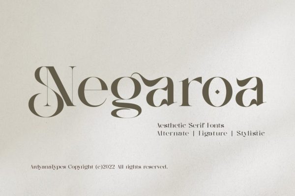 潮流复古酸性逆反差杂志标题徽标Logo设计英文字体安装包 Negaroa – Aesthetic Serif