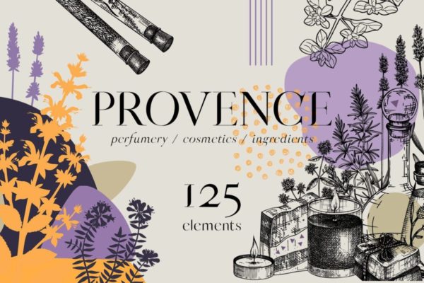现代时尚手绘普罗旺斯草药花卉植物插图插画图案AI矢量设计素材 Herbs of Provence. Floral collages