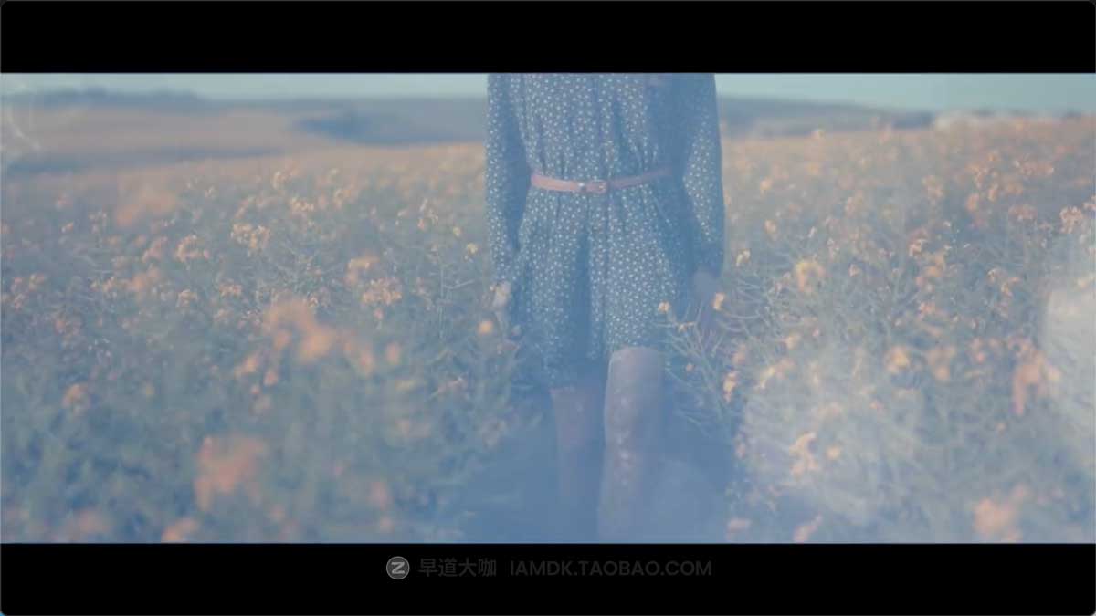 343组唯美梦幻电影效果镜头光晕影视叠加4K视频素材包 Paramount Motion – SPENCER Lens Flare 4K插图2