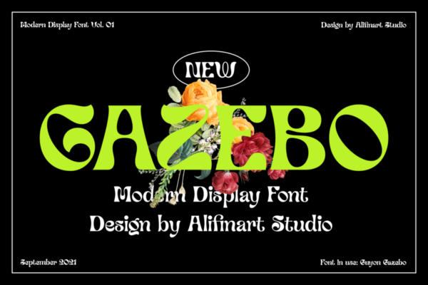 复古豪华独特酸性逆反差标题品牌设计PSAI英文字体安装包素材 Guyon Gazebo Font Family