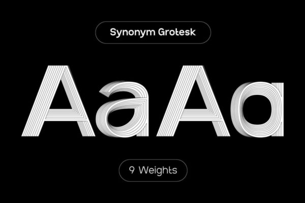9款时尚品牌格罗斯特几何无衬线排版标题PSAI西文字体安装包 SK Synonym Grotesk — Modern Typeface