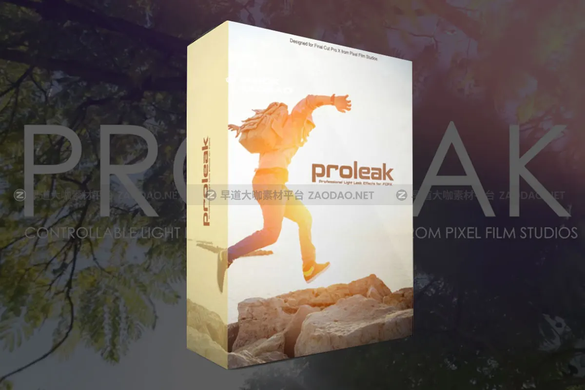 Fcpx插件 30组梦幻柔光镜头漏光光晕特效预设素材包 Pixel Film Studios – ProLeak for Final Cut Pro X (macOS)插图