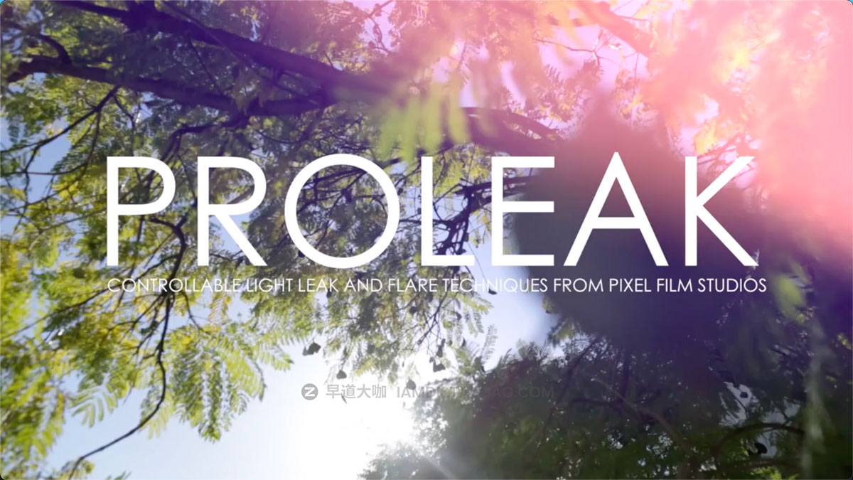 Fcpx插件 30组梦幻柔光镜头漏光光晕特效预设素材包 Pixel Film Studios – ProLeak for Final Cut Pro X (macOS)插图1