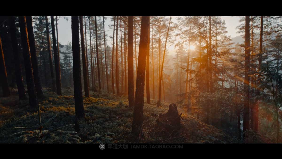 达芬奇模板 时尚镜头光晕光线过渡漏光效果转场过渡特效包  Light FX & Transitions for DaVinci Resolve插图7
