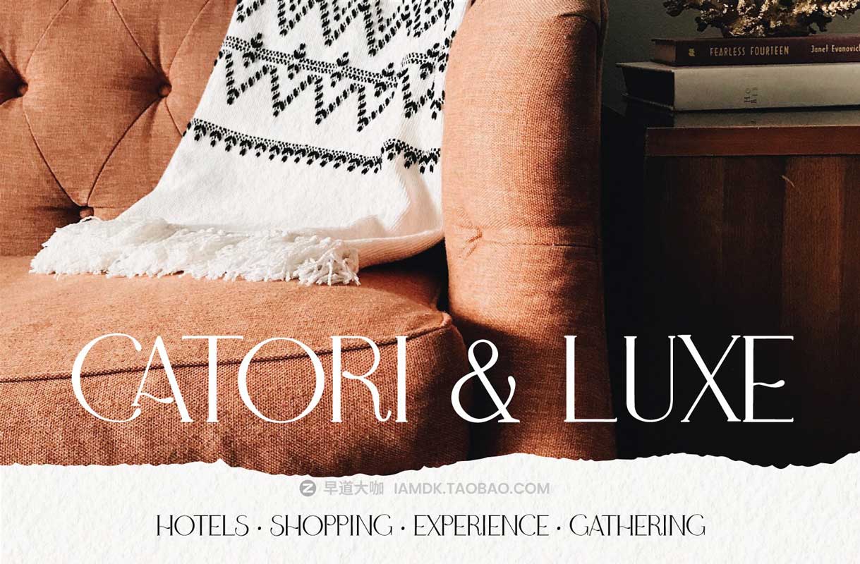现代优雅婚礼标题徽标设计衬线英文字体 & Logo矢量模板套装 Adele Moon Serif Font + Extras插图12