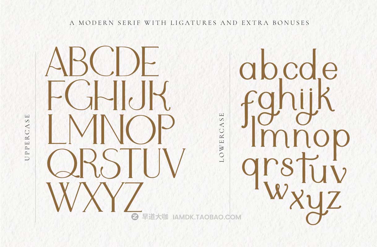 现代优雅婚礼标题徽标设计衬线英文字体 & Logo矢量模板套装 Adele Moon Serif Font + Extras插图1