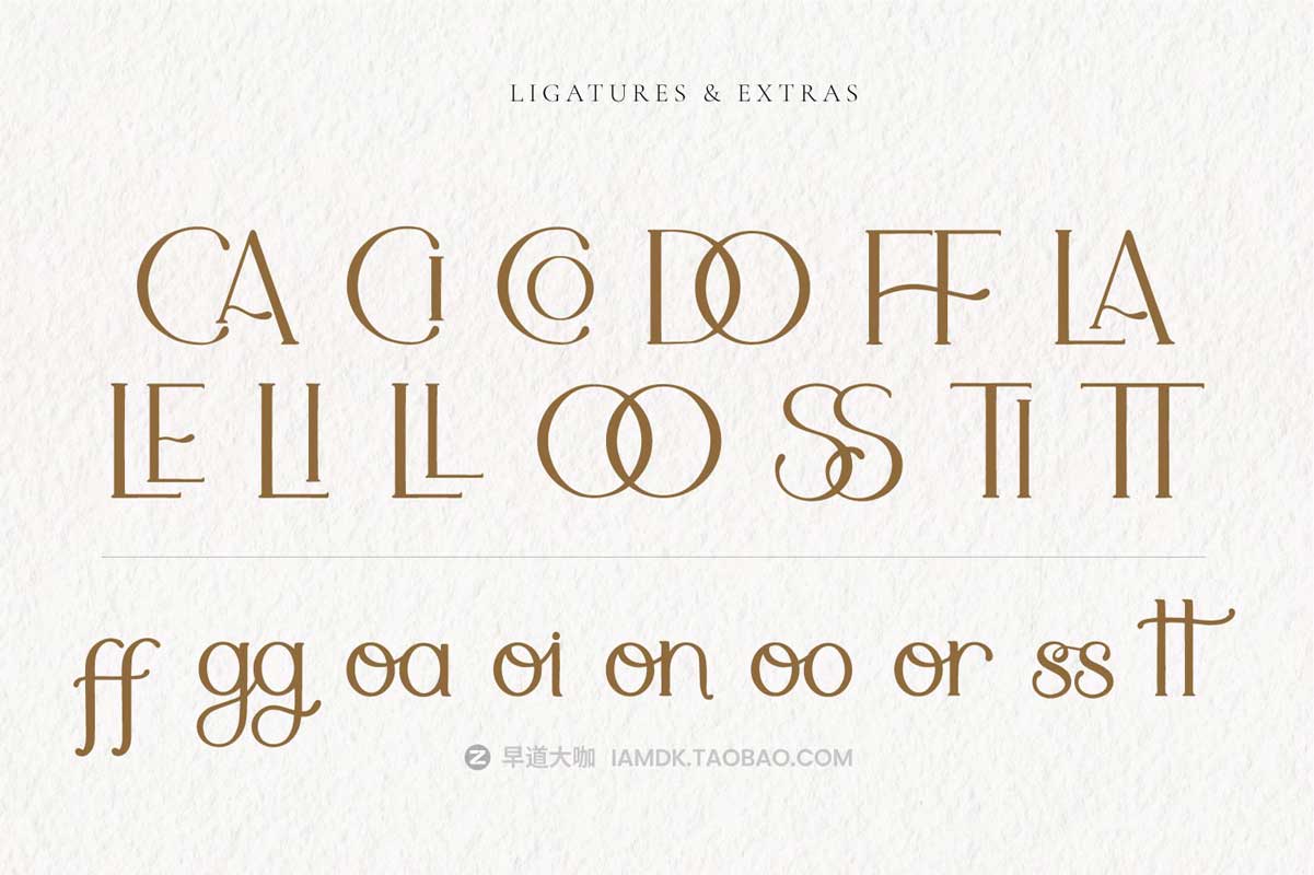 现代优雅婚礼标题徽标设计衬线英文字体 & Logo矢量模板套装 Adele Moon Serif Font + Extras插图2