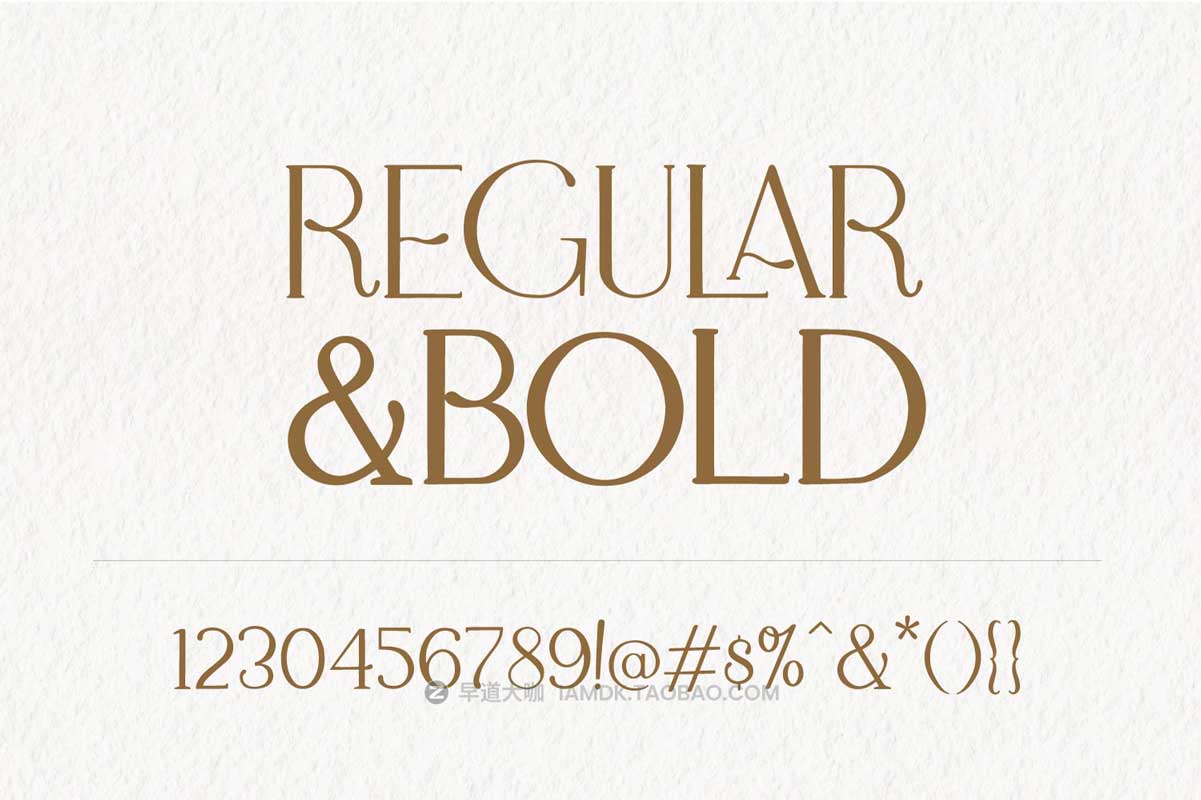 现代优雅婚礼标题徽标设计衬线英文字体 & Logo矢量模板套装 Adele Moon Serif Font + Extras插图3