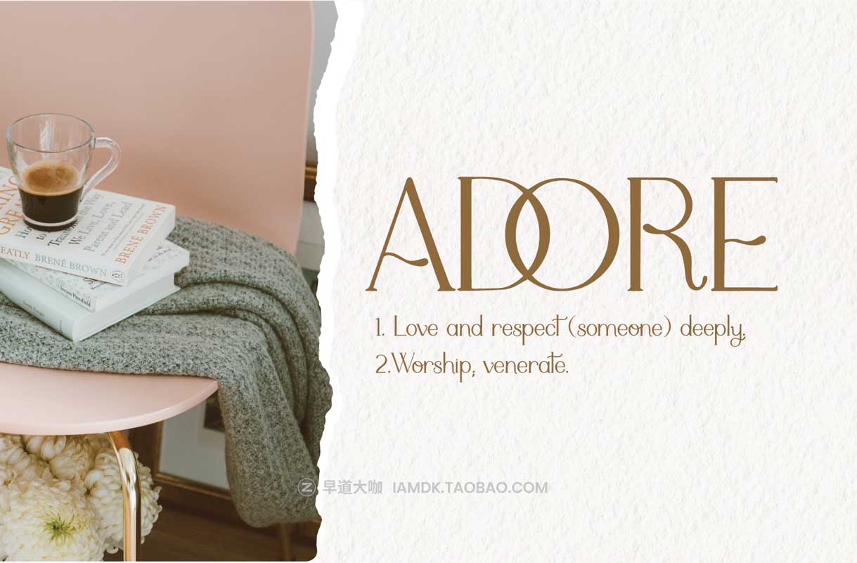 现代优雅婚礼标题徽标设计衬线英文字体 & Logo矢量模板套装 Adele Moon Serif Font + Extras插图6