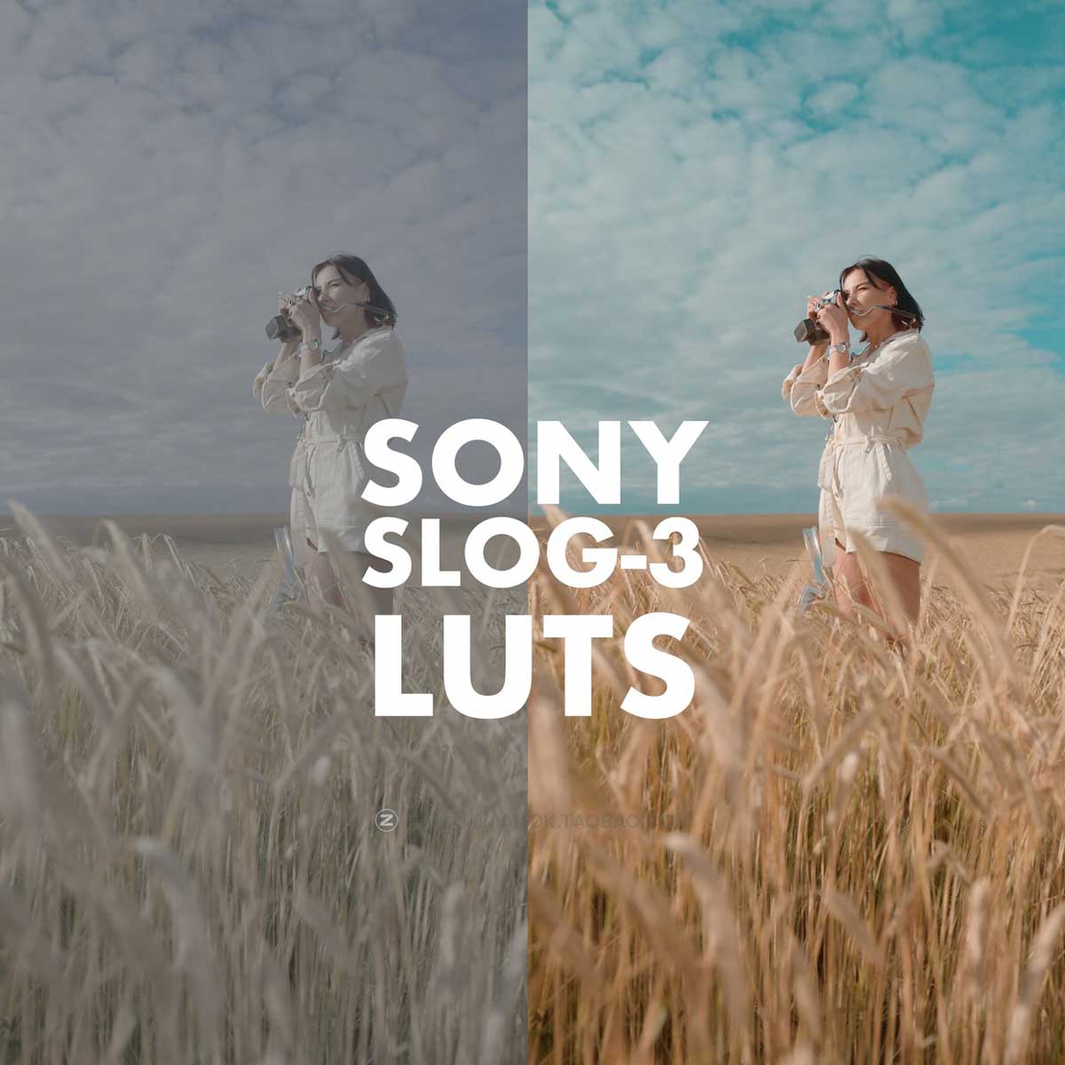 LUTs调色 21款SONY SLOG 3摄影人像电影视频后期调色套装 Alexandru Don – SONY SLOG 3 LUTS – SKINTONE EDITION插图8