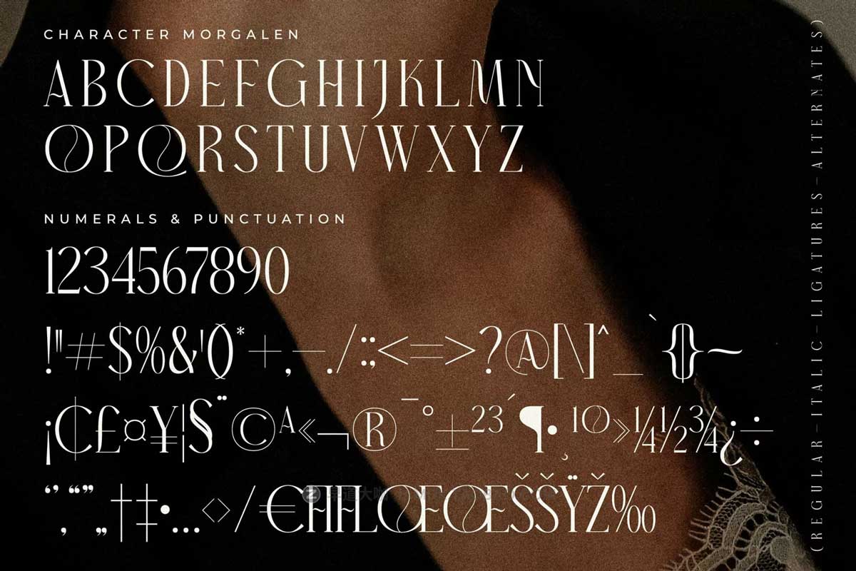 现代经典女性化奢华门店标牌杂志排版LOGO设计衬线英文字体安装包 Morgalen Typeface插图12