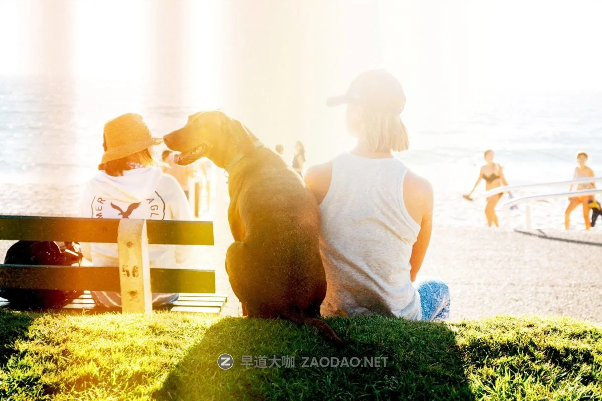 light-leaks-overlays-03- light-leaks-overlays-03-