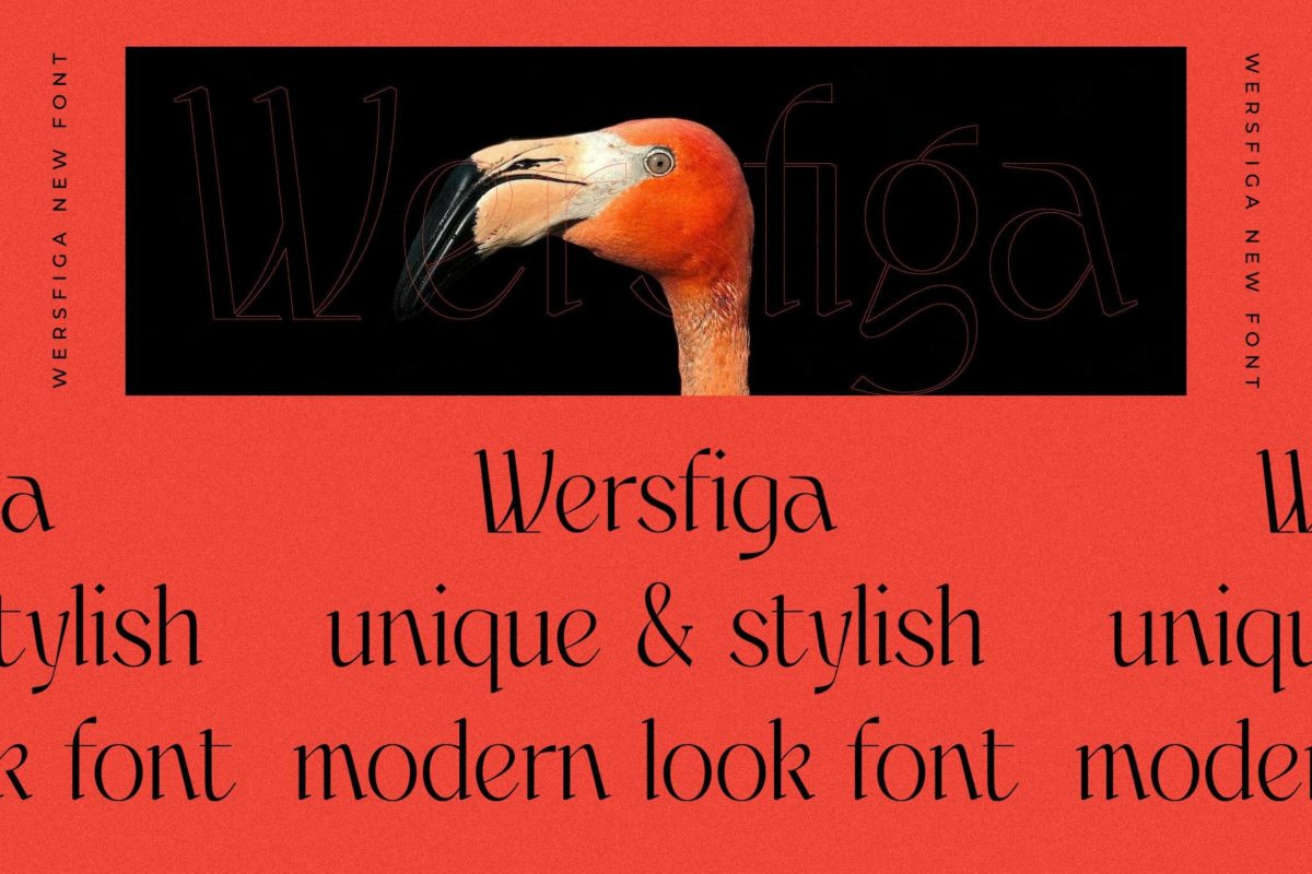 wersfiga-font-02-252cdf8636765b57593d3aeaf1c9a52e48e2be5b207bc0f3e37acc8207b89972