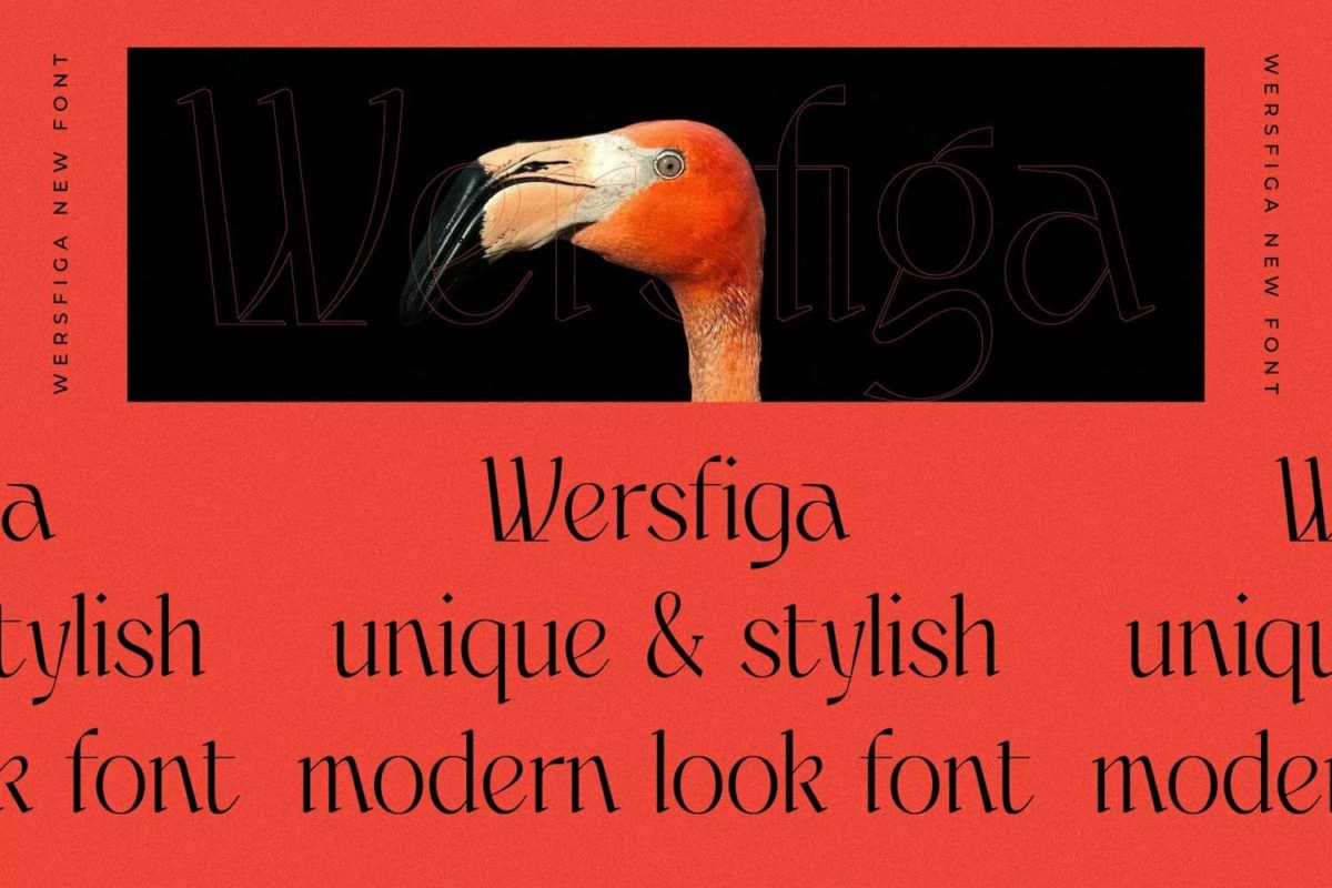 wersfiga-font-02-252cdf8636765b57593d3aeaf1c9a52e48e2be5b207bc0f3e37acc8207b89972.webp