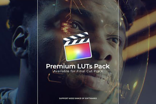 200+组复古好莱坞电影色彩分级视频调色LUTs预设包 Cinematic LUTs Pack – FCPX