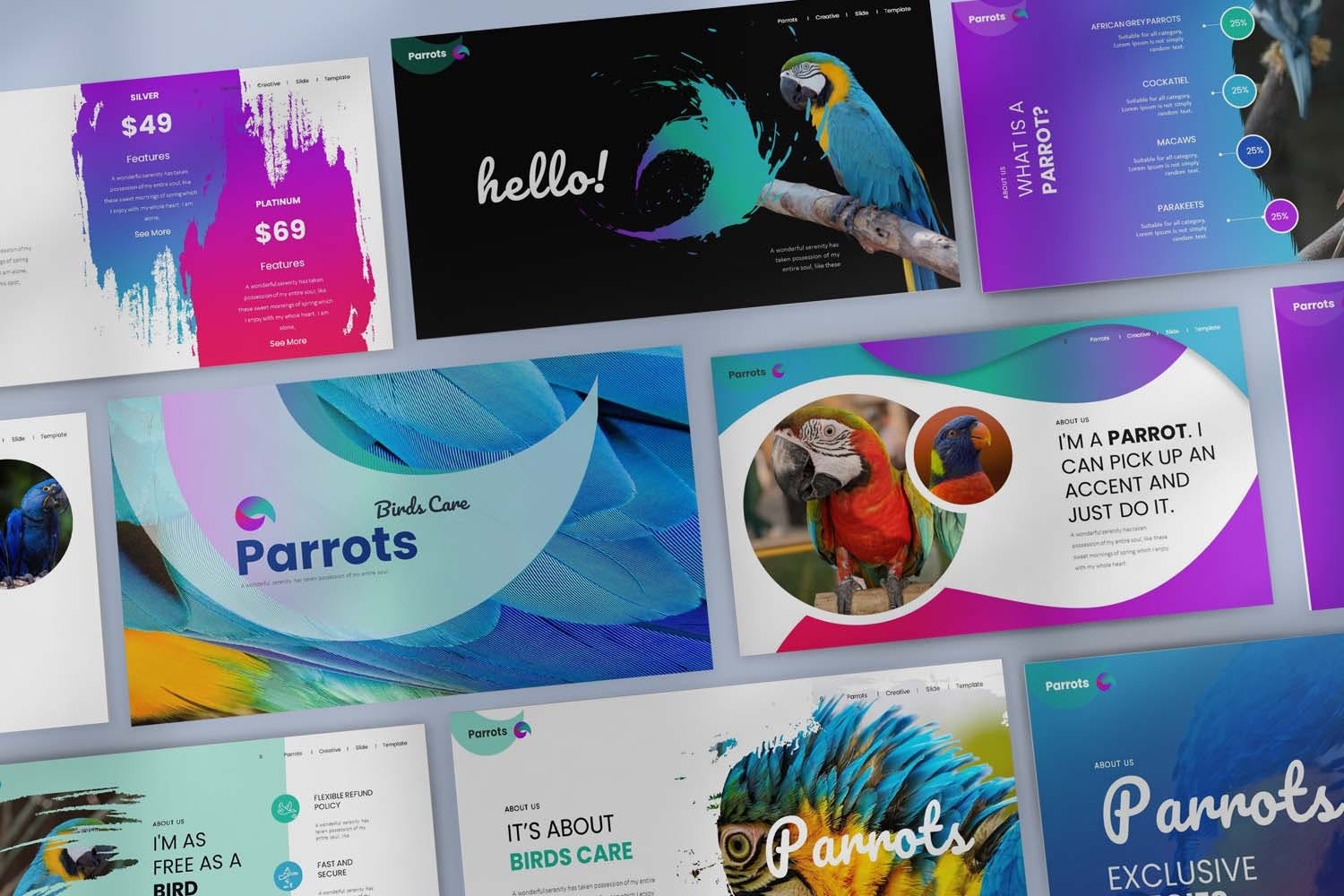 创意可爱企业营销策划图文排版设计ppt模版 Parrots PowerPoint Presentation插图