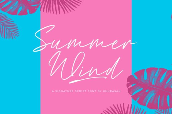 现代优雅邀请函婚礼海报设计书写字体 Summer Wind