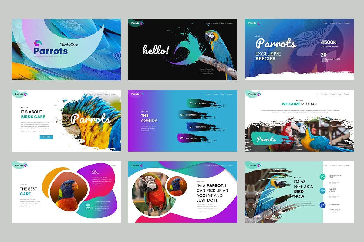 创意可爱企业营销策划图文排版设计ppt模版 Parrots PowerPoint Presentation插图1