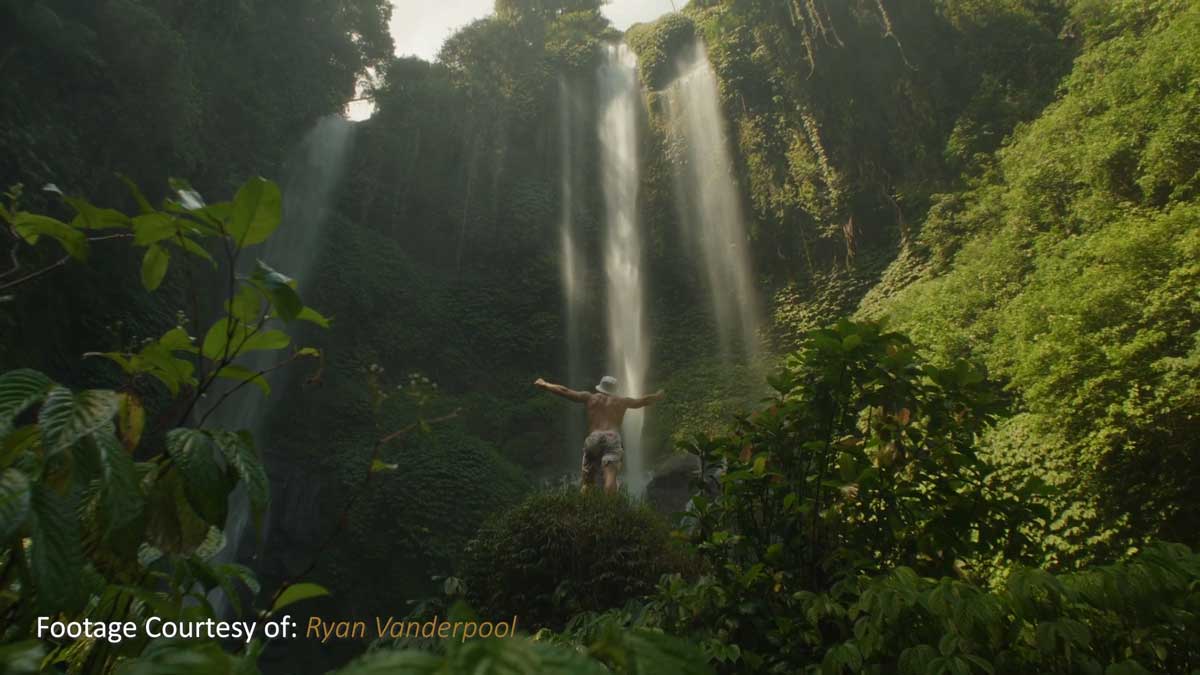 松下S1h/S5转阿莱Arri和电影胶片视频调色LUTs预设 Joel Famularo – Phantom Luts for Panasonic S1h/S5 Film LUTs+Arri LUTs插图2