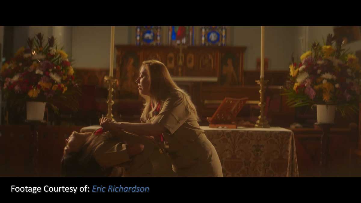 松下S1h/S5转阿莱Arri和电影胶片视频调色LUTs预设 Joel Famularo – Phantom Luts for Panasonic S1h/S5 Film LUTs+Arri LUTs插图4