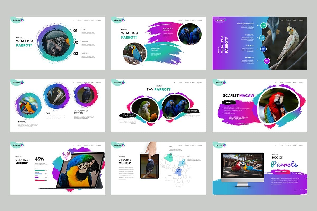 创意可爱企业营销策划图文排版设计ppt模版 Parrots PowerPoint Presentation插图2