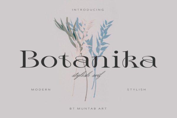 时尚复古杂志海报商标设计衬线英文字体安装包 Botanika Stylish Serif