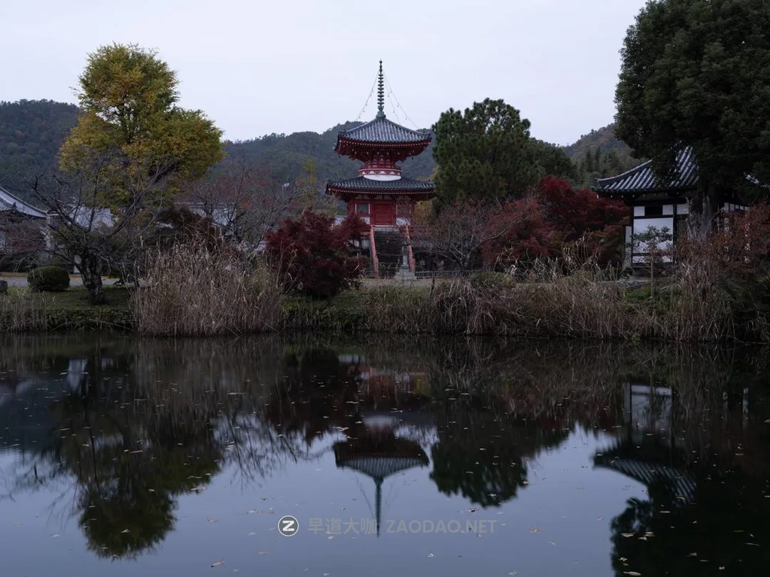 best_pagoda_in_japan_to_photograph_landscapes_before best_pagoda_in_japan_to_photograph_landscapes_before