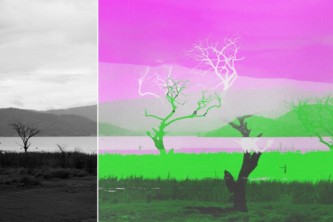 futuristic-neon-negative-photo-effect-06-