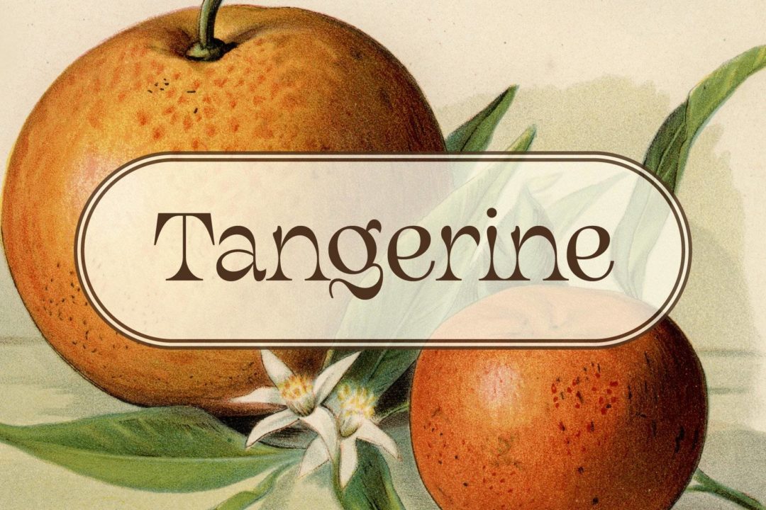 magritte-surrealist-font-07-