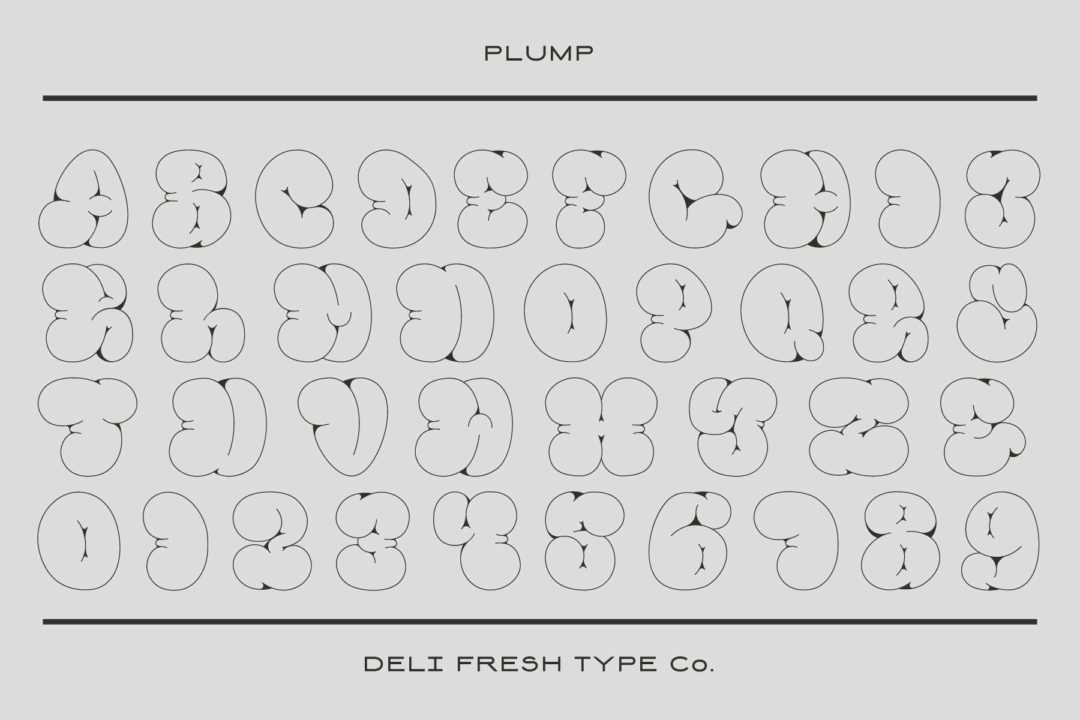 plump2-02-