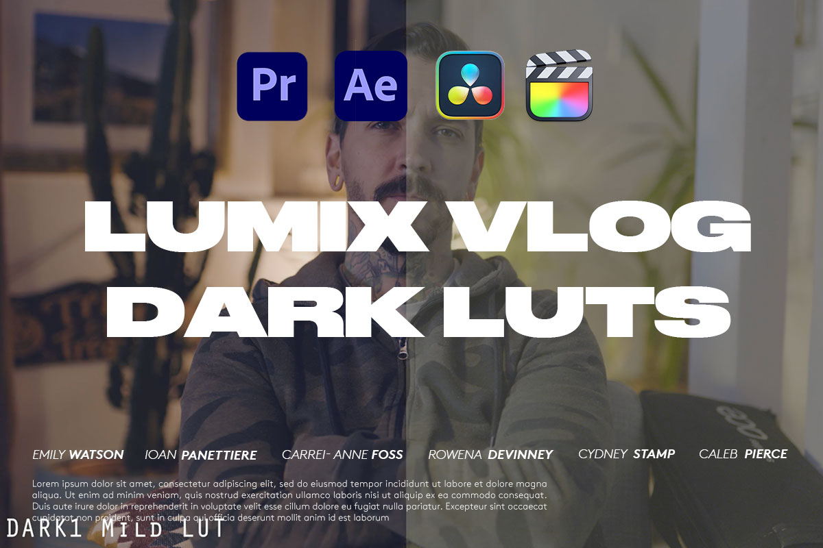 LUTs预设 适用于Vlog白天转黑夜风视频后期调色 Daniel John Peters LUMIX VLOG DARK LUTS插图