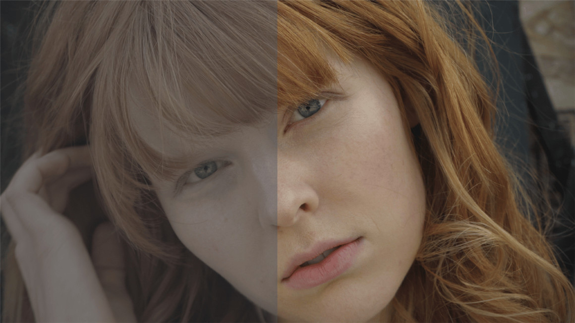索尼SLog2/SLog3色彩还原lut预设包 Buttery LUTs: Sony SLog2 / SLog3 – Natural REC709插图1