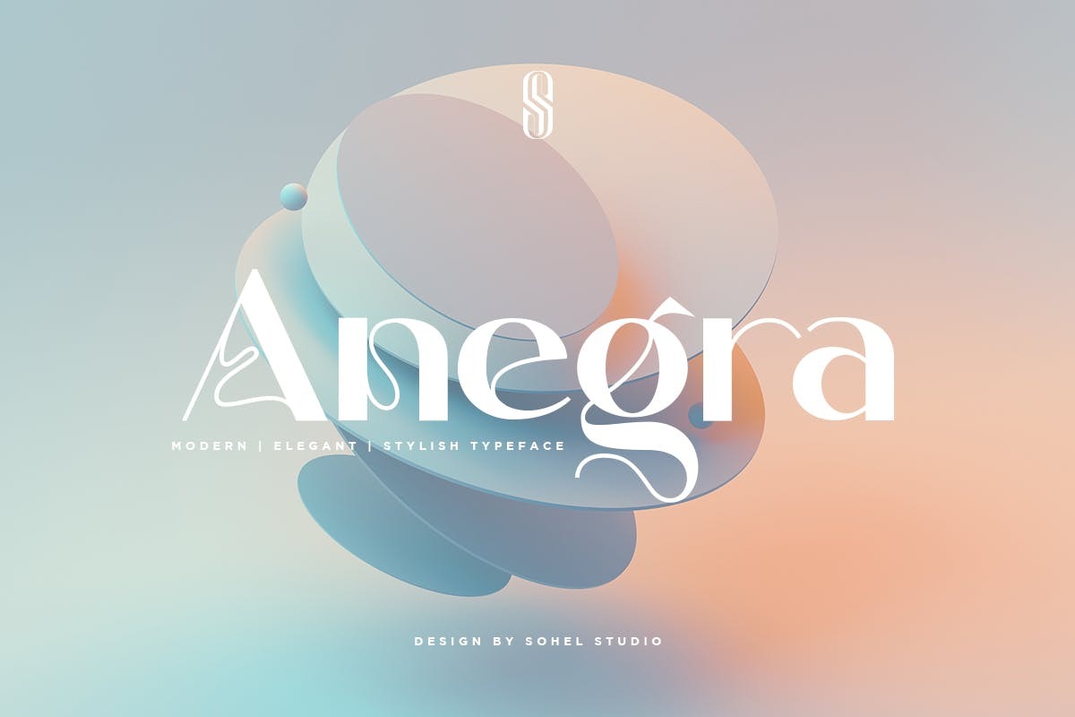现代优雅杂志广告徽标设计无衬线英文字体安装包 Anegra – Minimal Sans Maximal Impact插图