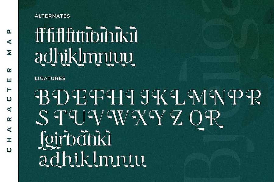 87b407bf-6292-45ef-9769-86420ccf2c4d