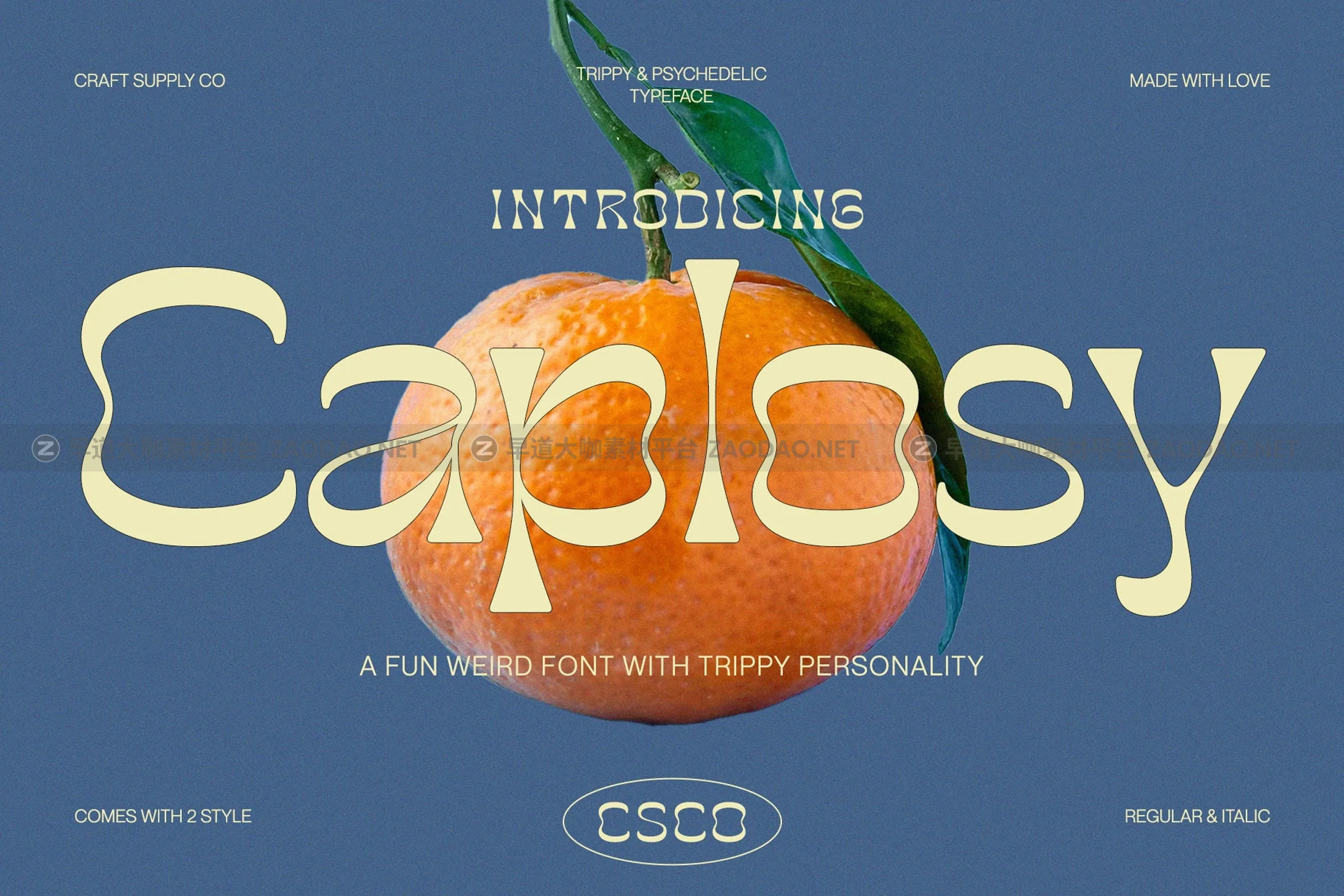 时尚海报封面徽标设计无衬线英文字体安装包 Caplosy Trippy Font插图