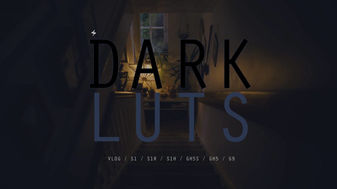 DP_vlog_dark_luts