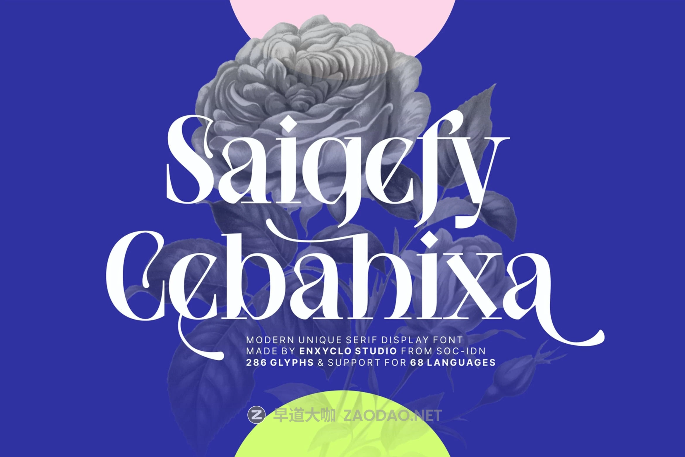 现代时尚杂志海报徽标设计衬线英文字体安装包 NCL Saigefy Cebahixa Modern Unique Serif Font插图 现代时尚杂志海报徽标设计衬线英文字体安装包 NCL Saigefy Cebahixa Modern Unique Serif Font插图