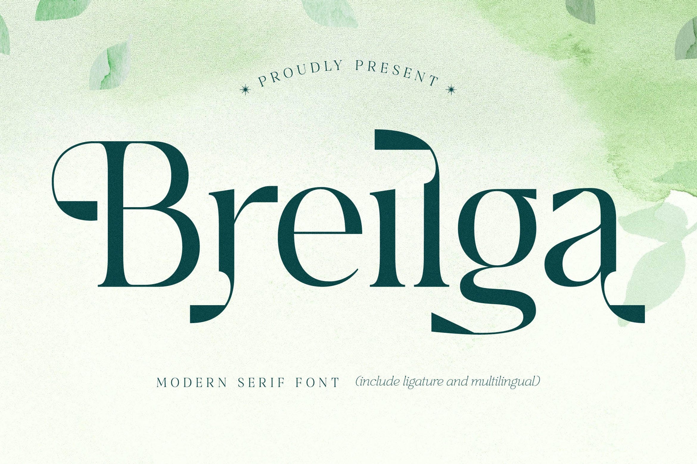 优雅杂志品牌海报设计衬线英文字体安装包 Breilga Modern Serif Font插图