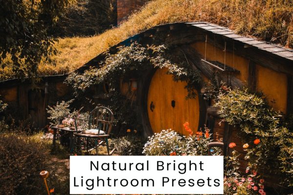 现代复古赛博朋克风电影摄影照片调色LR预设素材包 Natural Bright Lightroom Presets