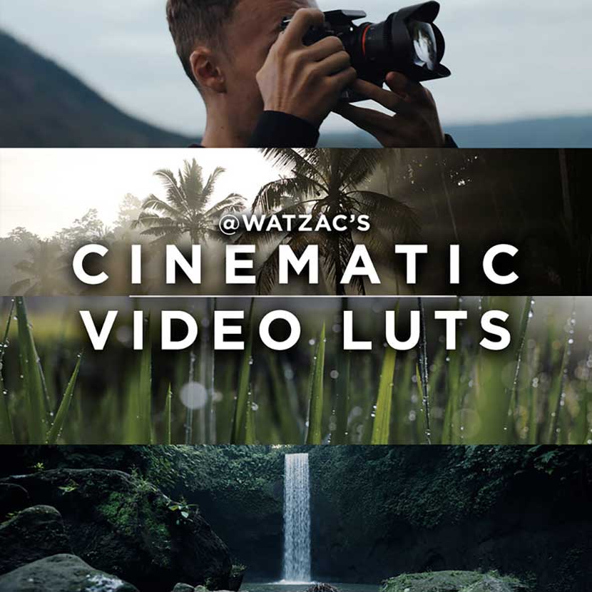 LUTs预设 66组深邃干净专业索尼/佳能/DJI/松下/GoPro/BMPCC/尼康/视频电影拍摄色彩调色 Cinematic Video LUTS By Watzac插图