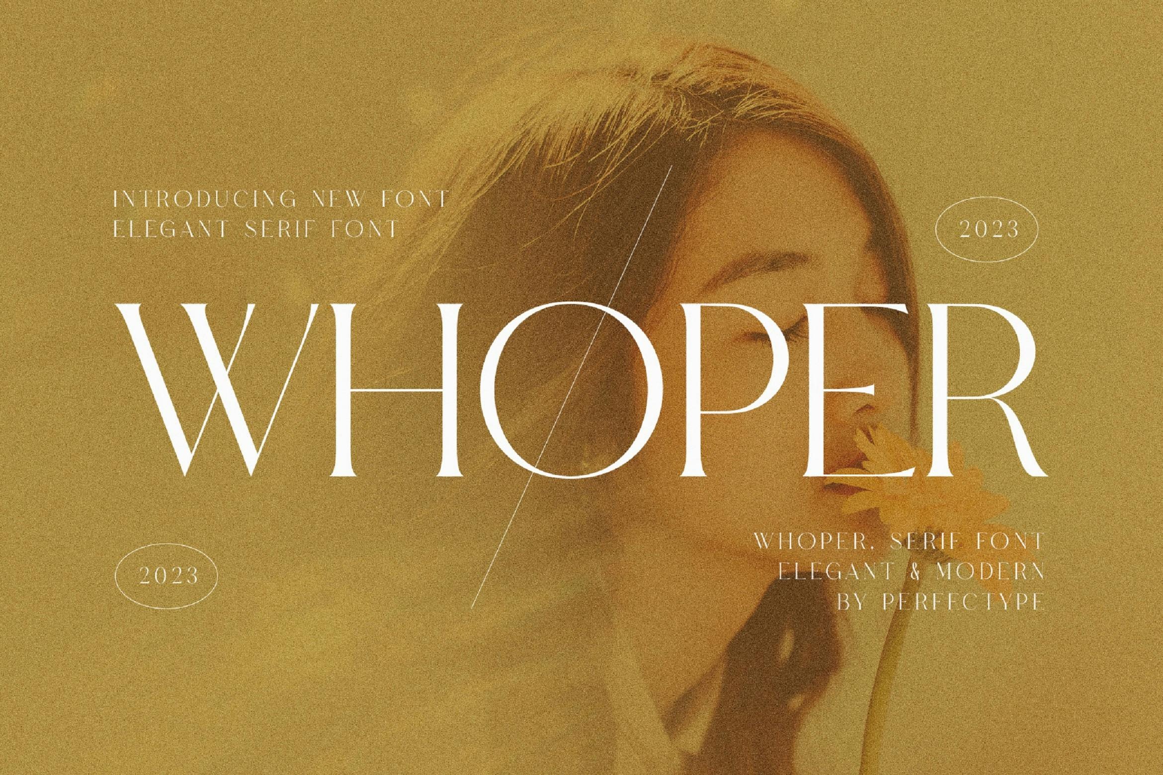 现代优雅品牌包装徽标设计衬线英文字体安装包 Whoper Elegant Serif Font Typeface插图