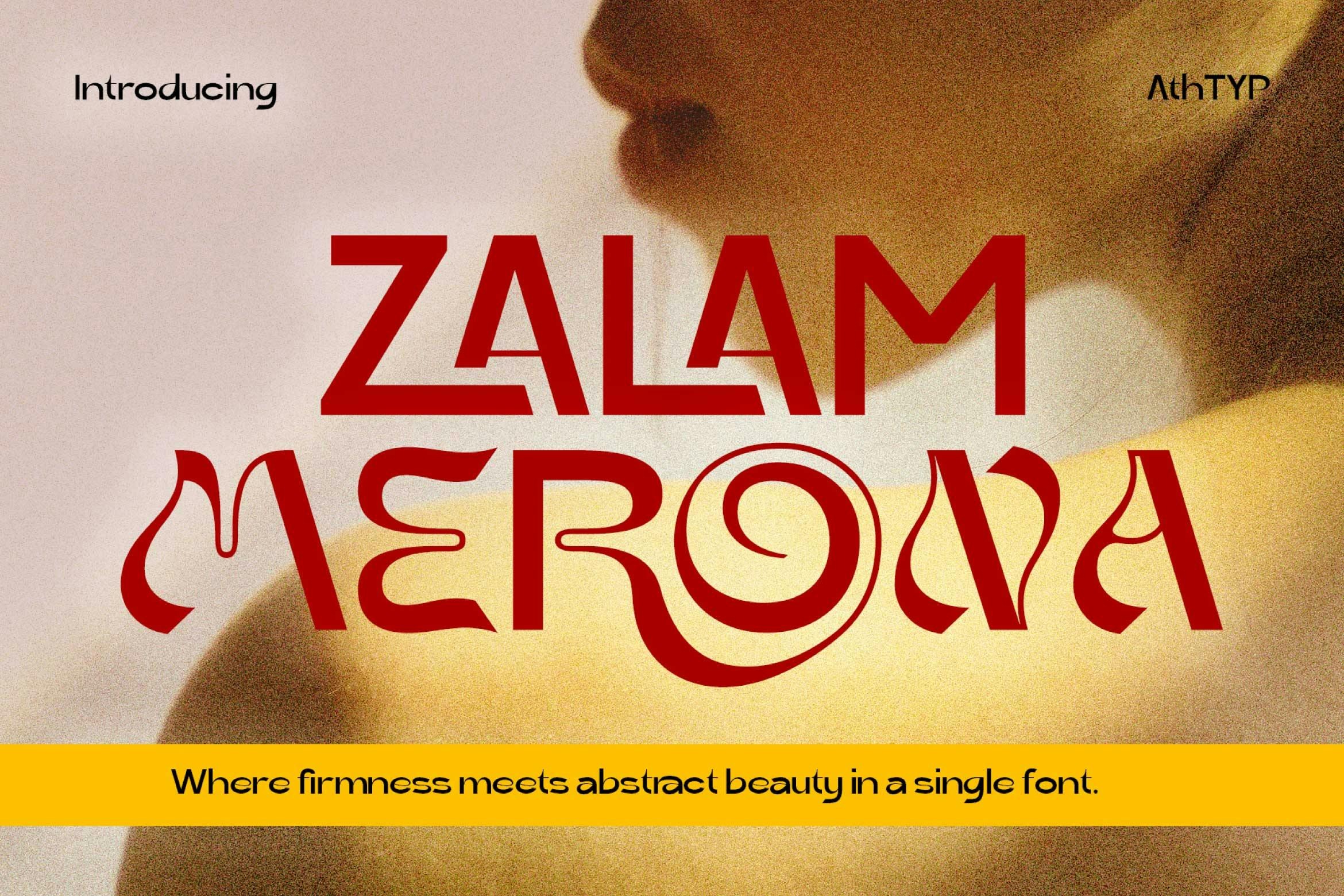 时尚复古杂志海报徽标设计无衬线英文字体安装包 Salam Merona Firmness Meets Abstract插图