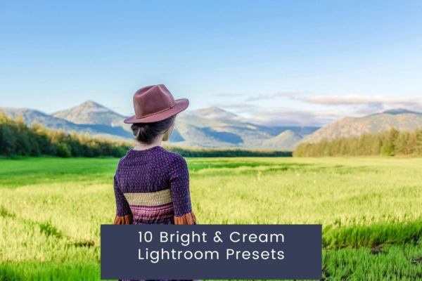 10组时尚复古灯光室内效果电影旅行婚礼摄影照片调色LR预设包 10 Bright Cream Lightroom Presets