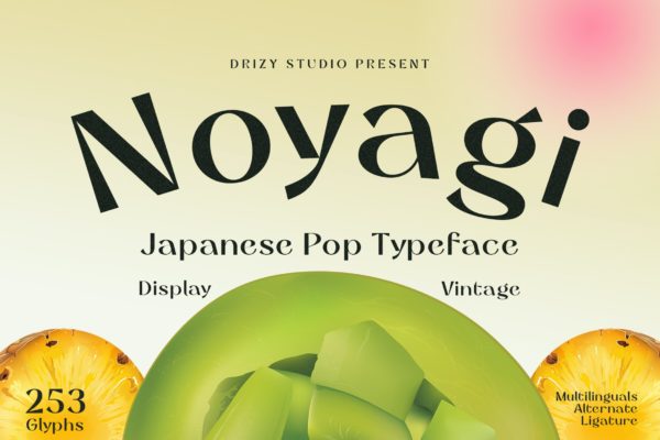 现代复古杂志海报徽标设计无衬线英文字体安装包 Noyagi Vintage Japanese Pop Font