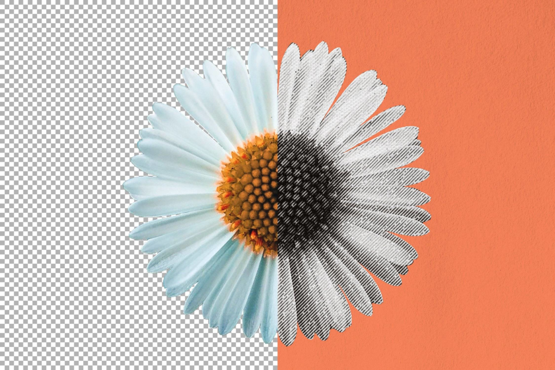paper-halftone-photo-effect-7-
