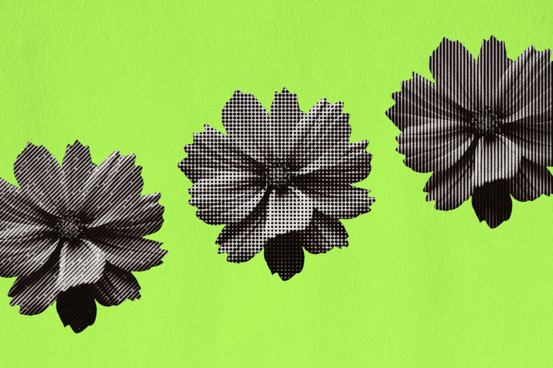 paper-halftone-photo-effect-9-
