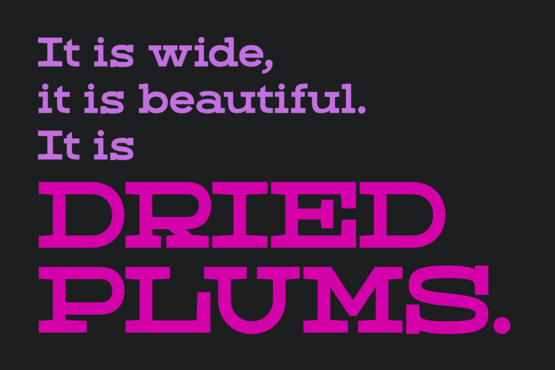 st_dried_plums_1.2-