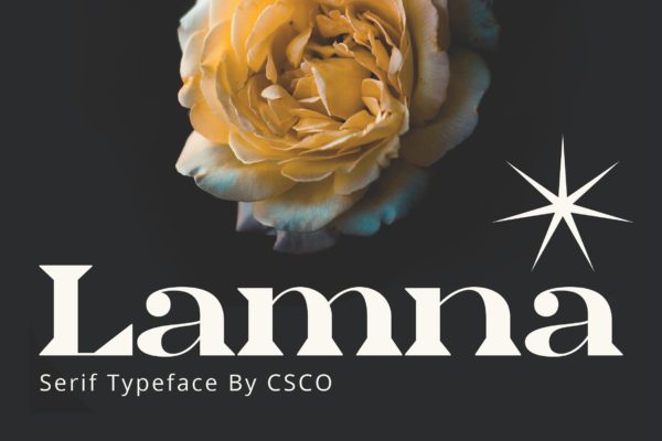 现代优雅杂志海报徽标设计衬线英文字体安装包 Lamna Wide Serif Font